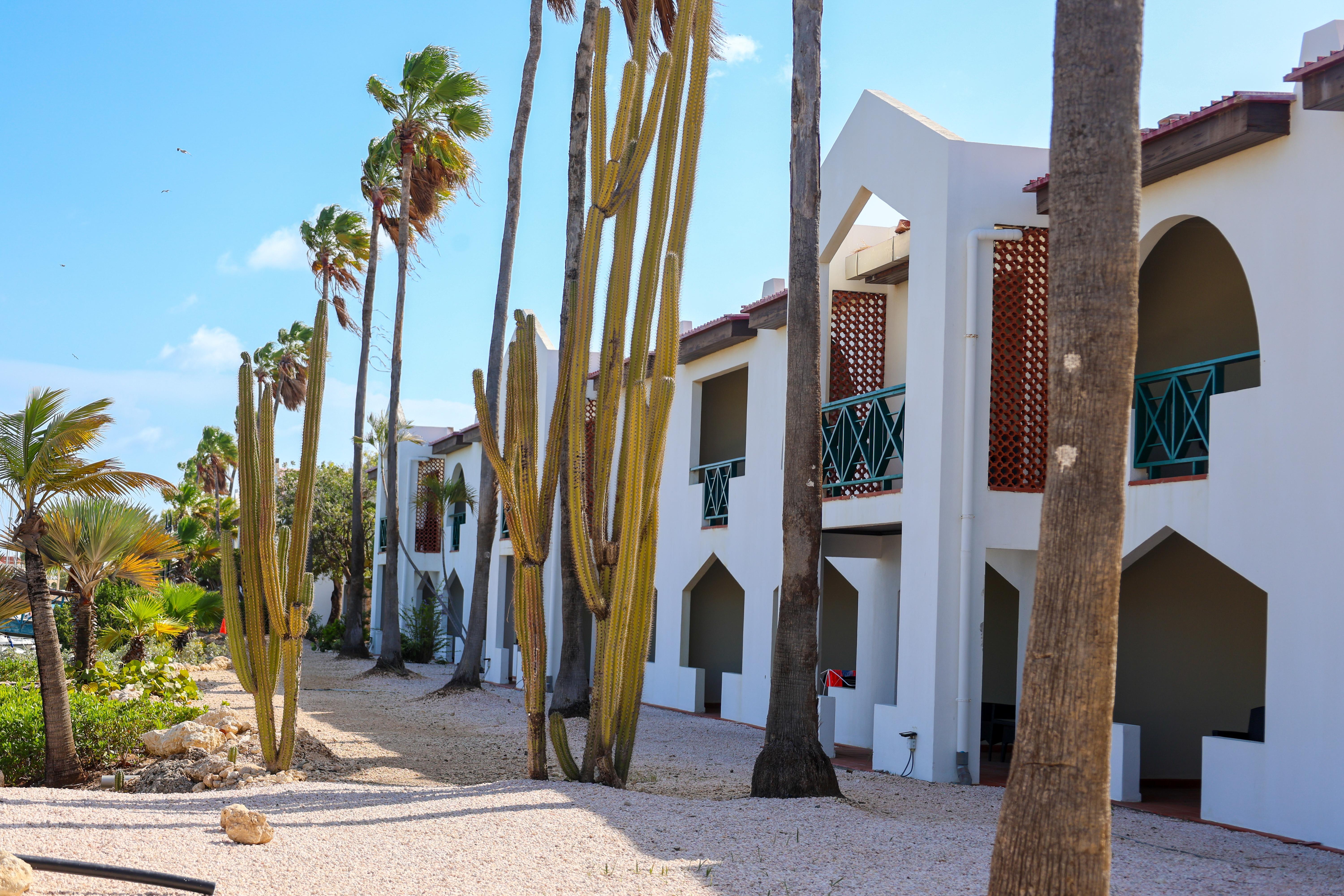 Van Der Valk Plaza Beach & Dive Resort Bonaire Playa Exterior foto